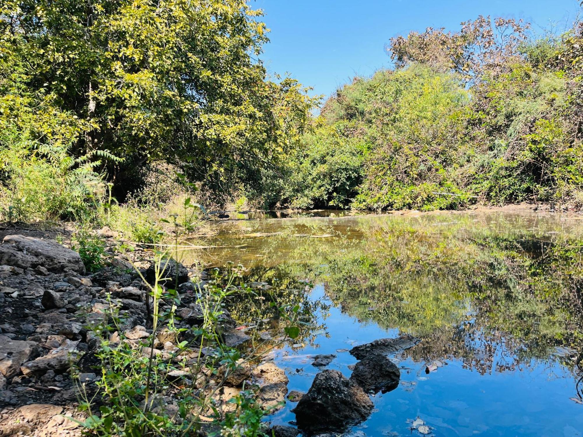 Brook Ville غابة غير المظهر الخارجي الصورة