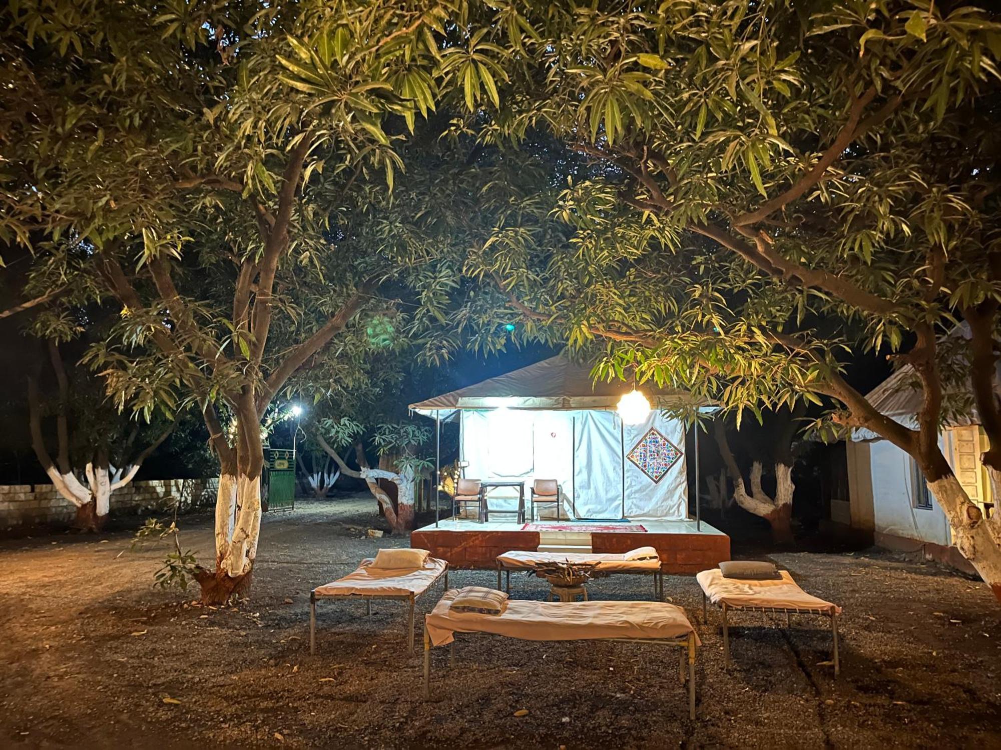 Brook Ville غابة غير المظهر الخارجي الصورة