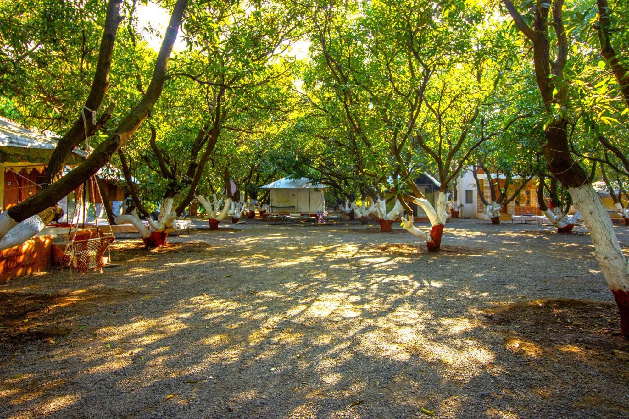 Brook Ville غابة غير المظهر الخارجي الصورة