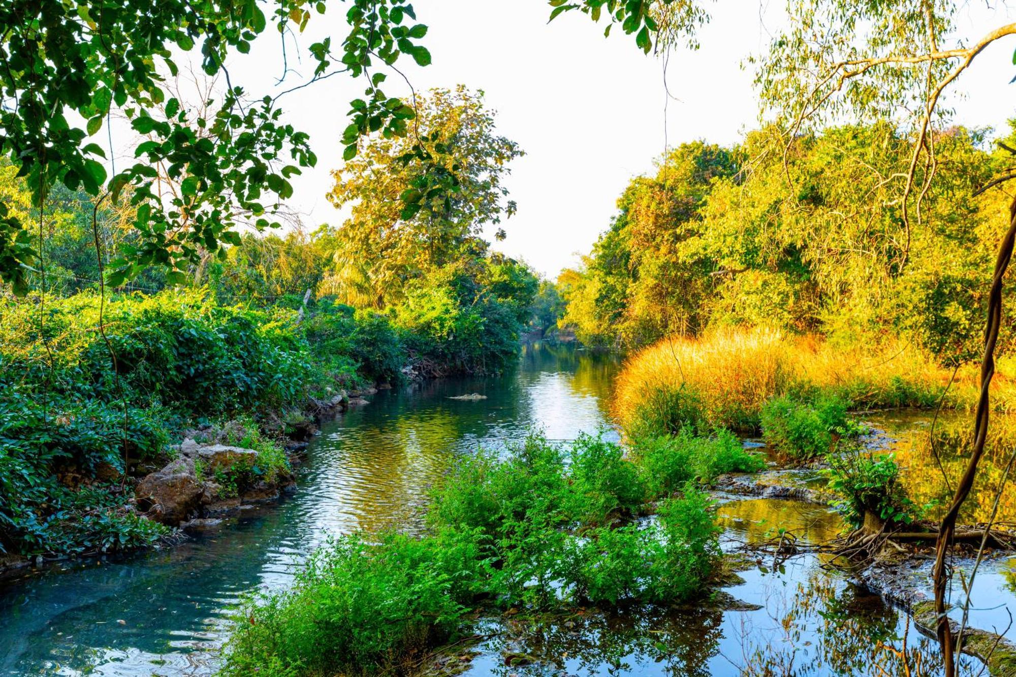 Brook Ville غابة غير المظهر الخارجي الصورة