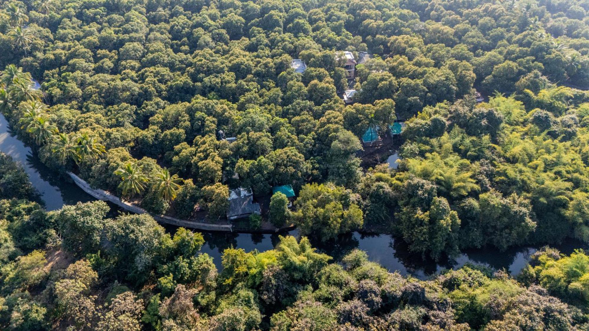 Brook Ville غابة غير المظهر الخارجي الصورة